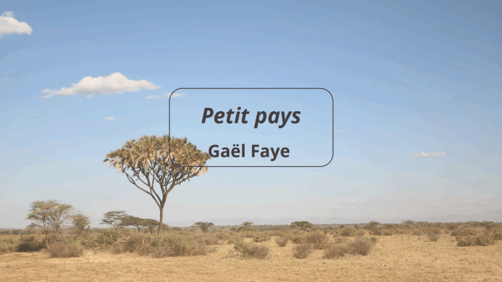 Image article Petit pays Gaël Faye