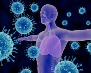 Immunité innée et immunité adaptative : différences et complémentarité