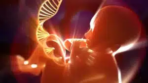 L’ADN poubelle : mythe ou réalité ?