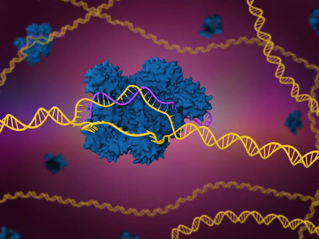 CRISPR-Cas9 : comprendre la révolution de l’édition génomique