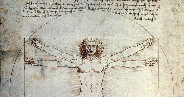 homme de vitruve