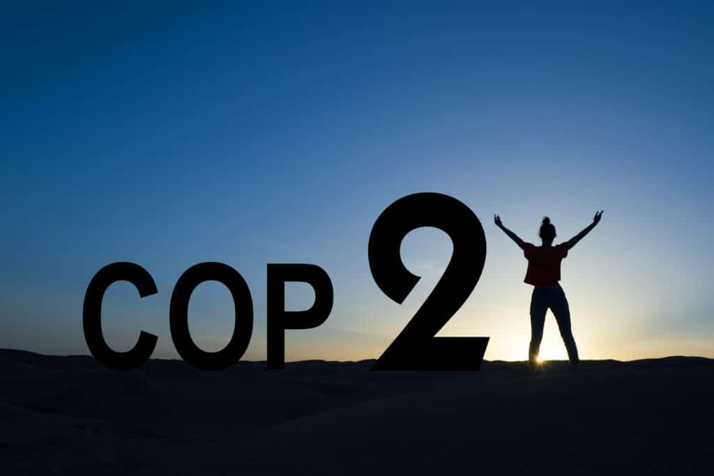 COP et sommets internationaux environnement