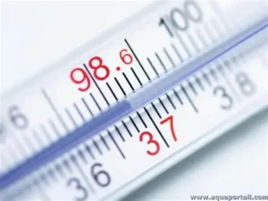 La régulation de la température corporelle : homéostasie thermique