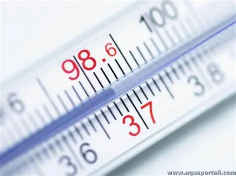 La régulation de la température corporelle : homéostasie thermique