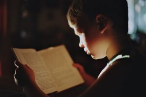 Peut-on encore croire aux grands récits ?Philosophie, littérature et modernité