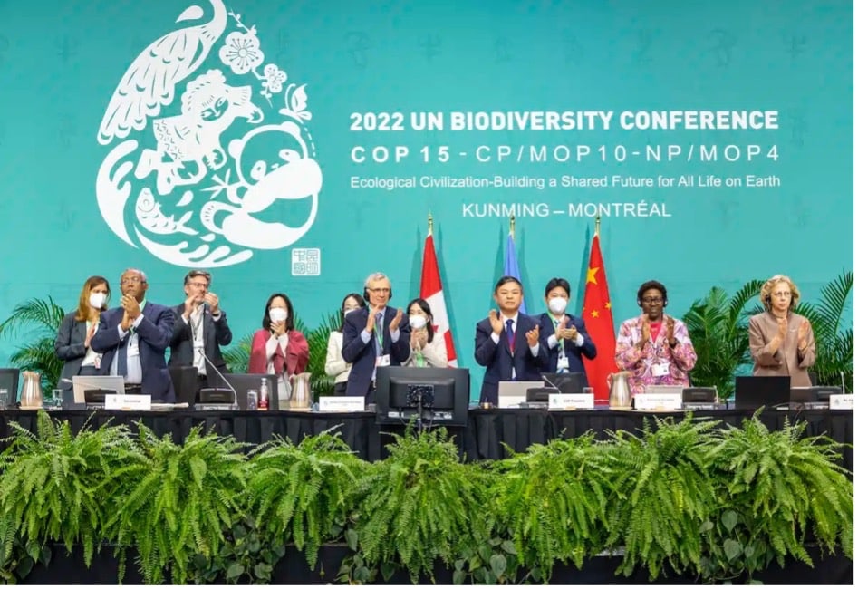 COP15