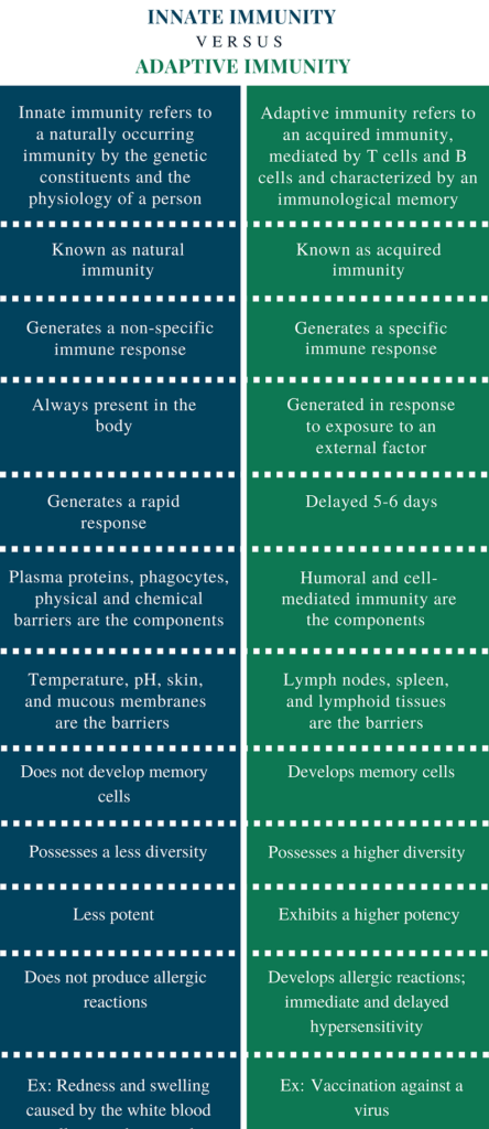 immunité innée ou adaptative 