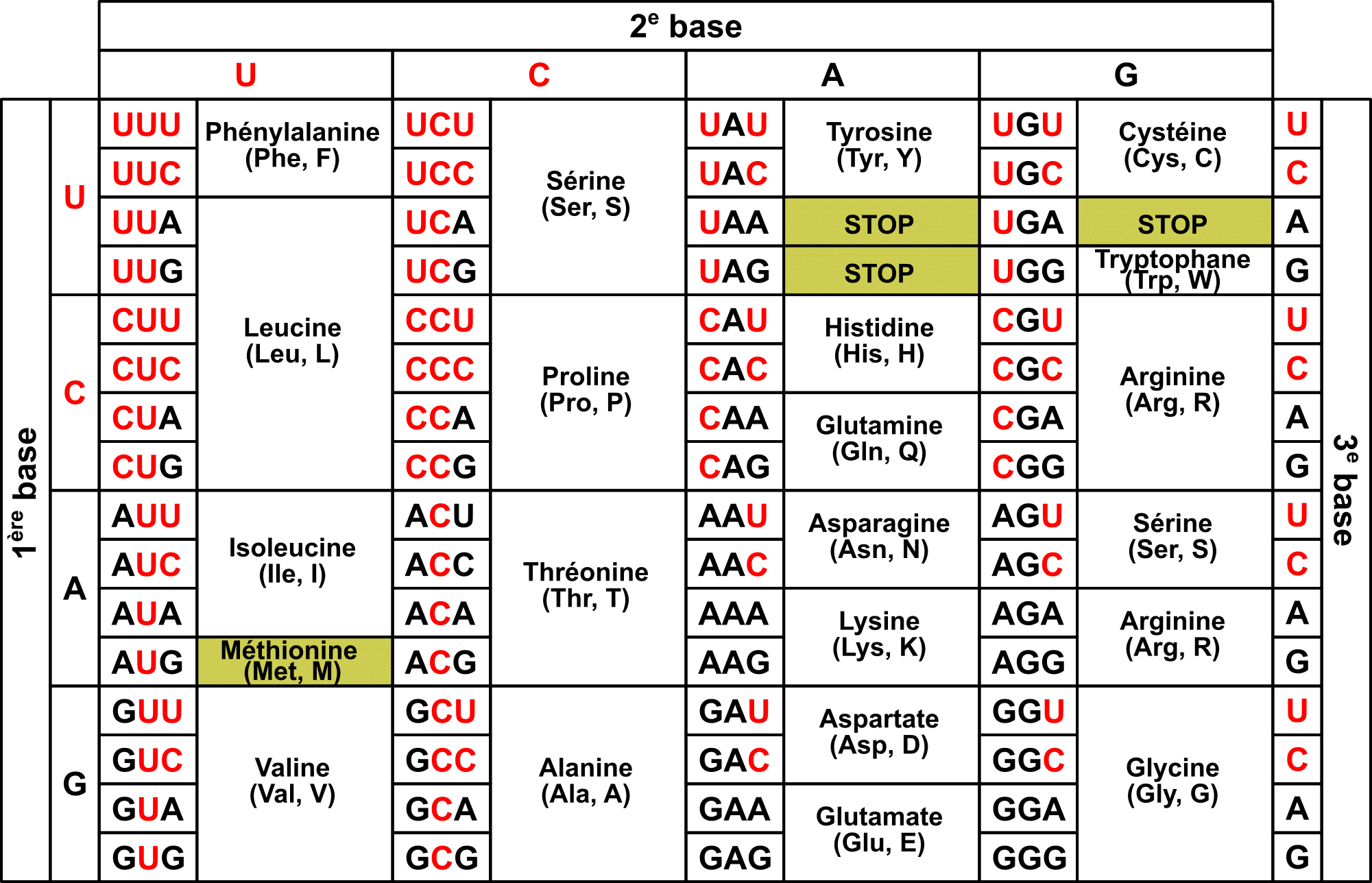 Le code génétique : universel mais redondant