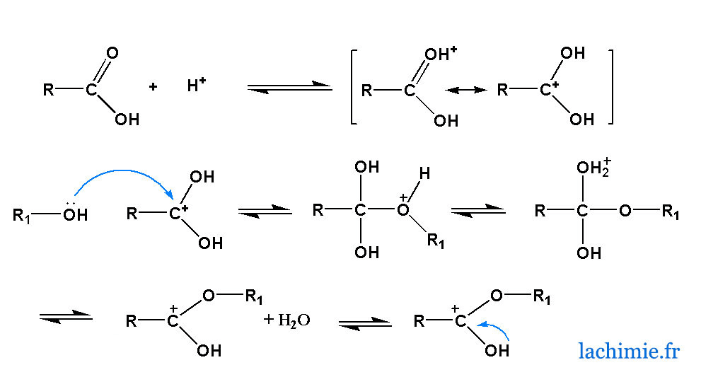 chimie estérification