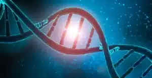 Les mutations génétiques : causes, conséquences et exemples