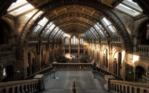 Écrire l'Histoire ou faire oeuvre de mémoire ?