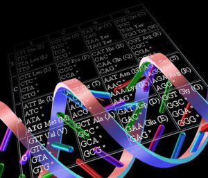 Le code génétique : universel mais redondant ?