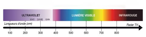 Comment analyser un spectre IR ou UV-visible au bac ?