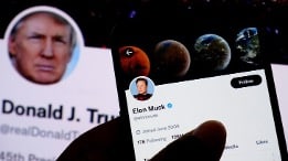 Donald trump twitter 