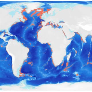 Comment naissent les océans ? (rift, dorsales, expansion océanique)