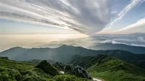 Biens publics définition, exemples et enjeux