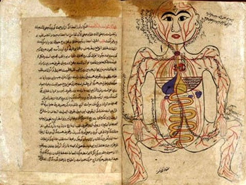 Le Canon de la médecine, Avicenne