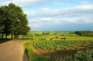 Les corridors écologiques : pourquoi sont-ils essentiels à la survie des espèces ?