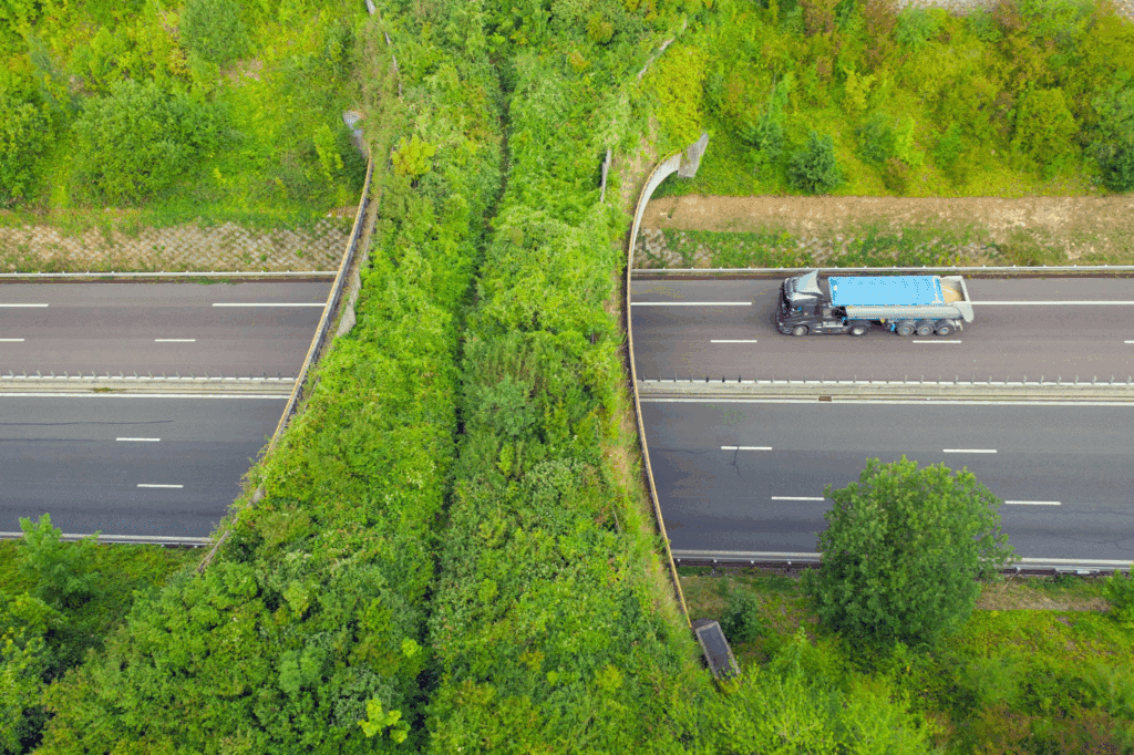 corridor écologique