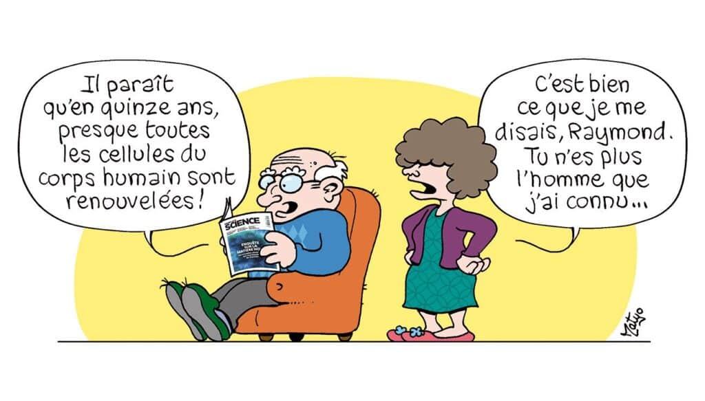 cellule corps humains 