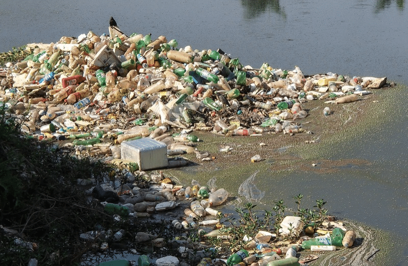 Mexico pollution des eaux 