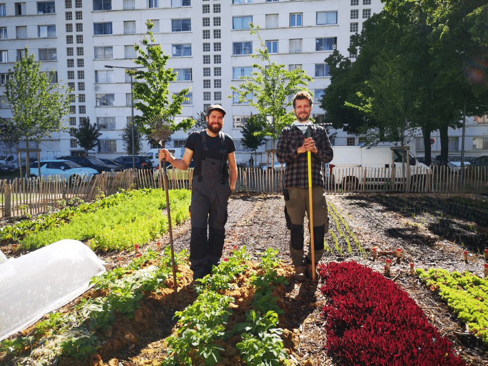 micro-ferme urbaine