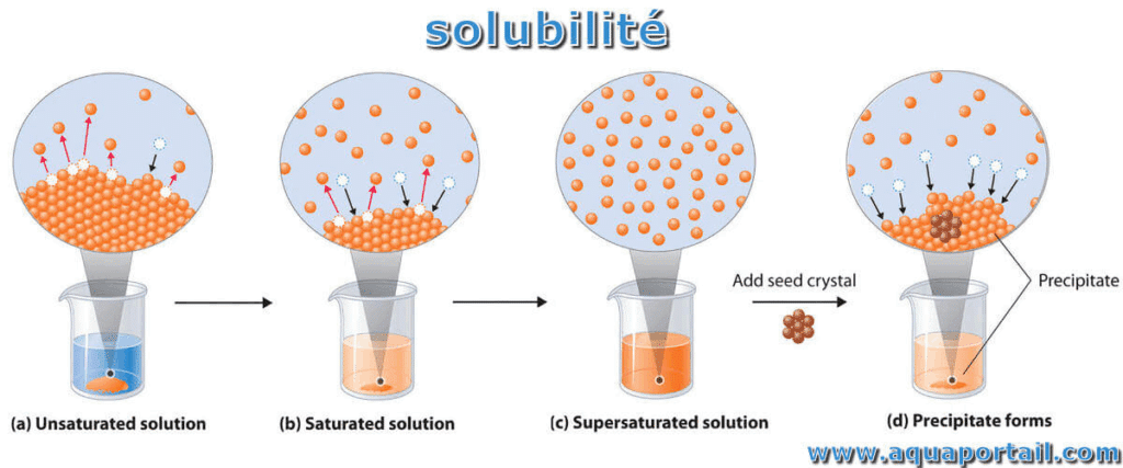 solubilité