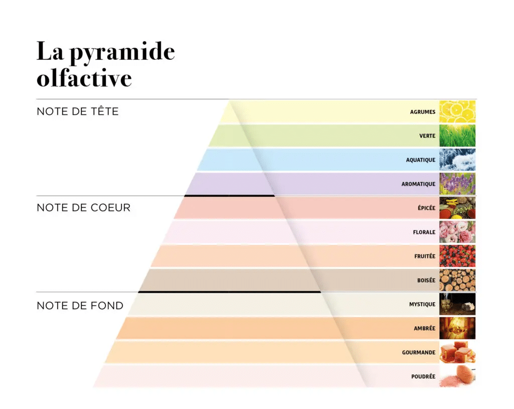 pyramide olfactive