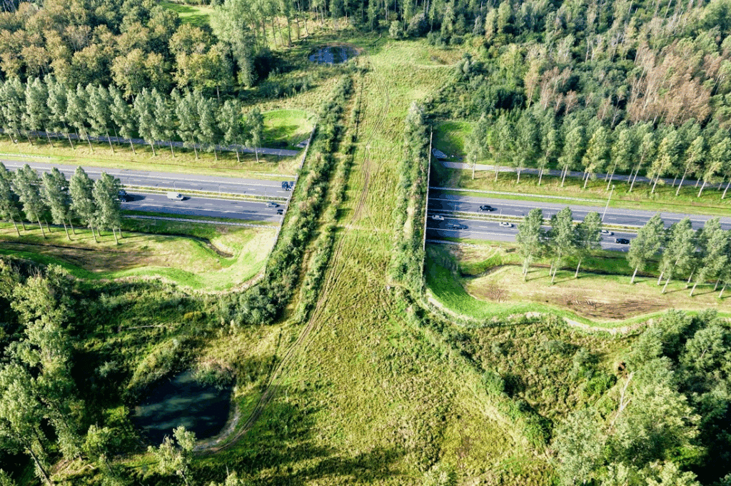 corridor écologique SVT