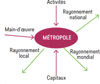 métropole 