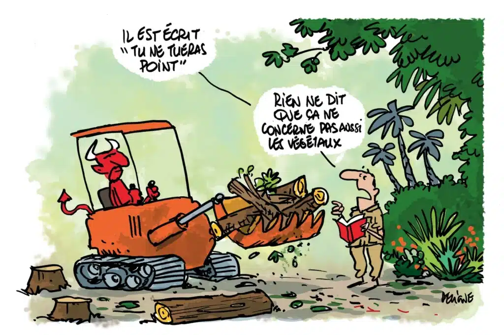 respect environnement 