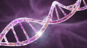 ADN chromosomes gènes