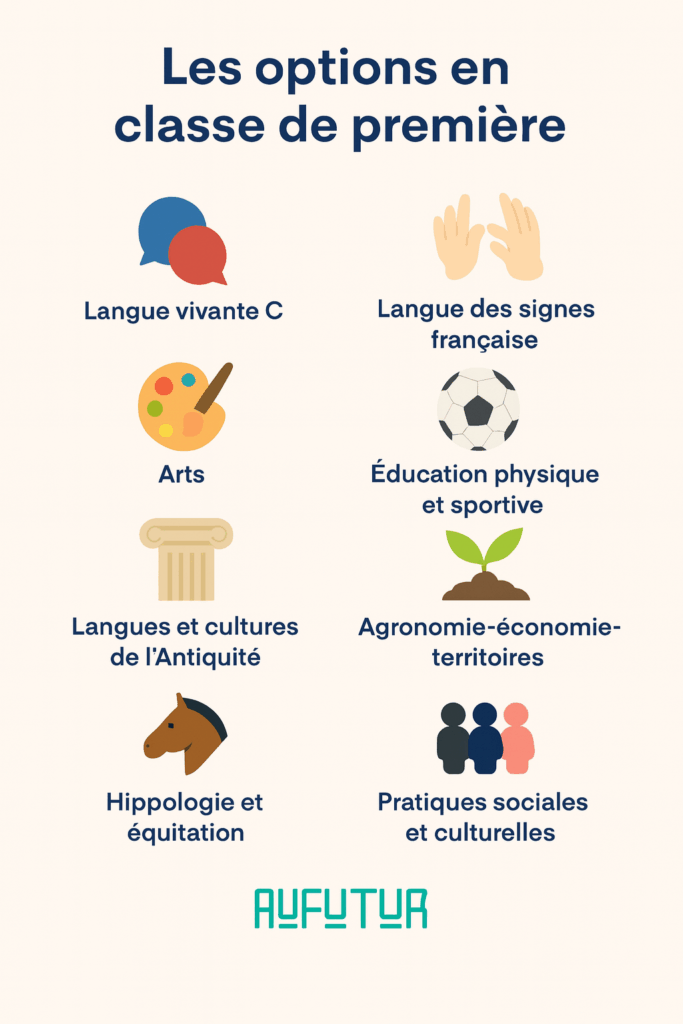 options disponibles en première 