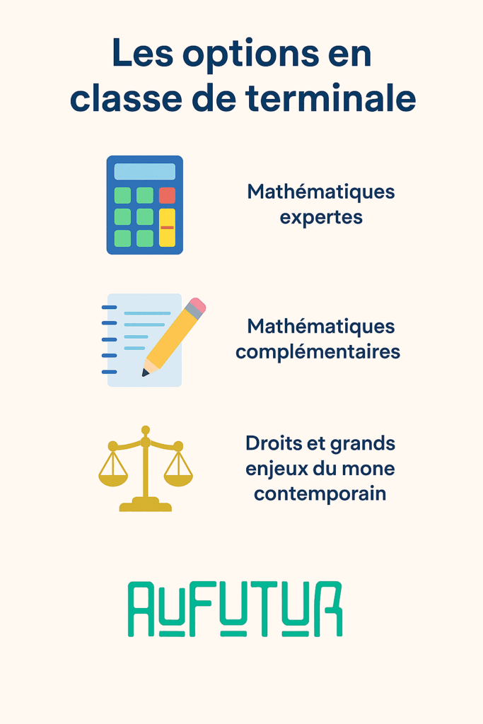les options en classe de terminale 