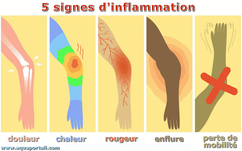 les signes d'inflammation