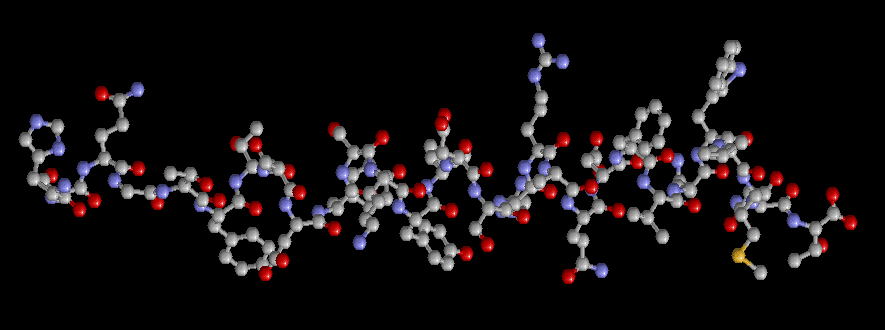 glucagon