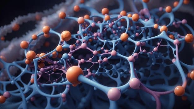 Le rôle de l’insuline et du glucagon dans la régulation du glucose sanguin