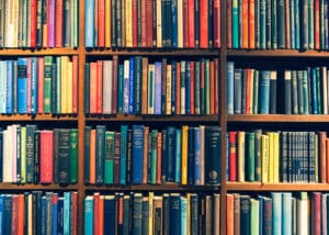 programme bac français